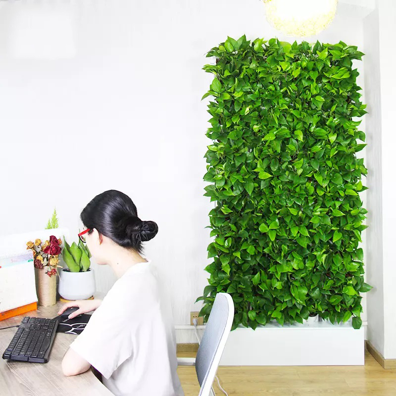 Hydroponic Kit - Kit Hidropônico Interno de 2 Metros
