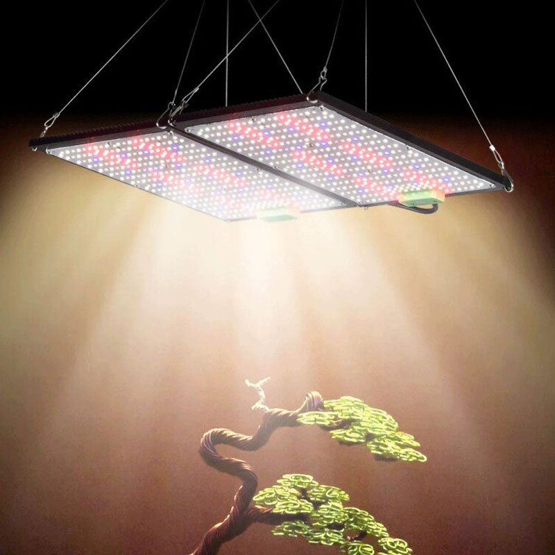 Luz de Cultivo LED Quantum-Boa - Grow Light Led avaliação e preço