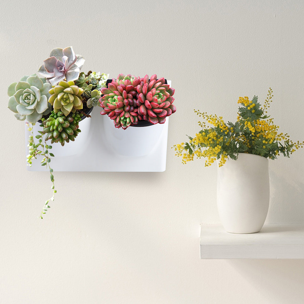 Vaso de Flores Autoirrigável d - Self Watering Planter avaliação e preço