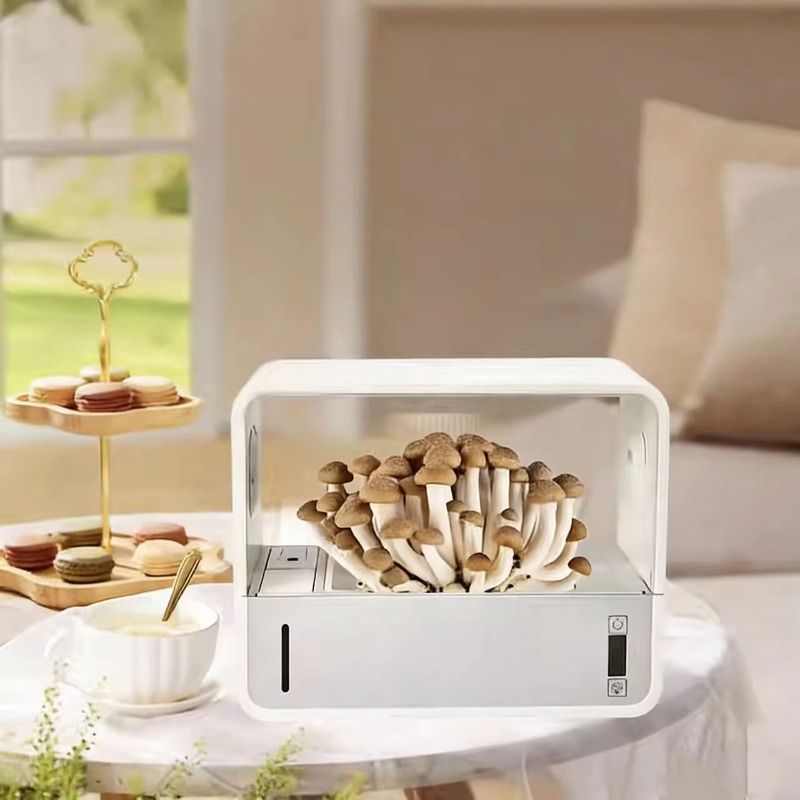 Kit de Cultivo Hidropônico de  - Hydroponic Kit avaliação e preço