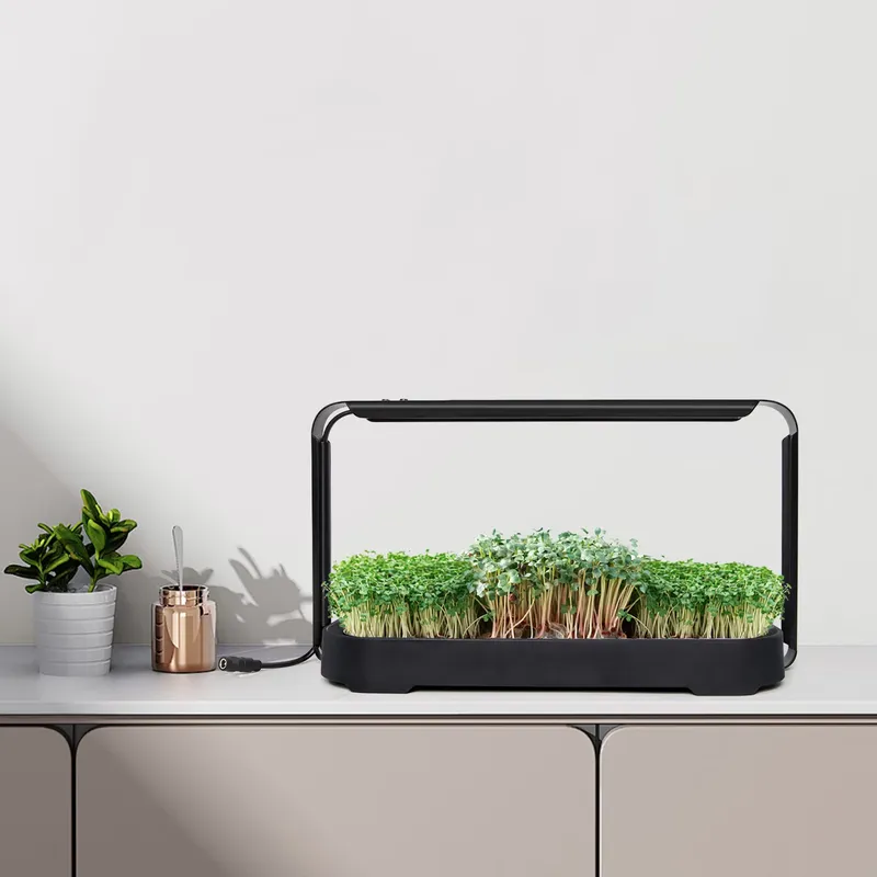 Sistema de Cultivo Hidropônico - Self Watering Planter avaliação e preço