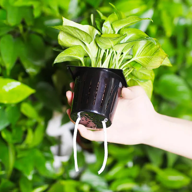 Kit Hidropônico Interno de 2 M - Hydroponic Kit avaliação e preço