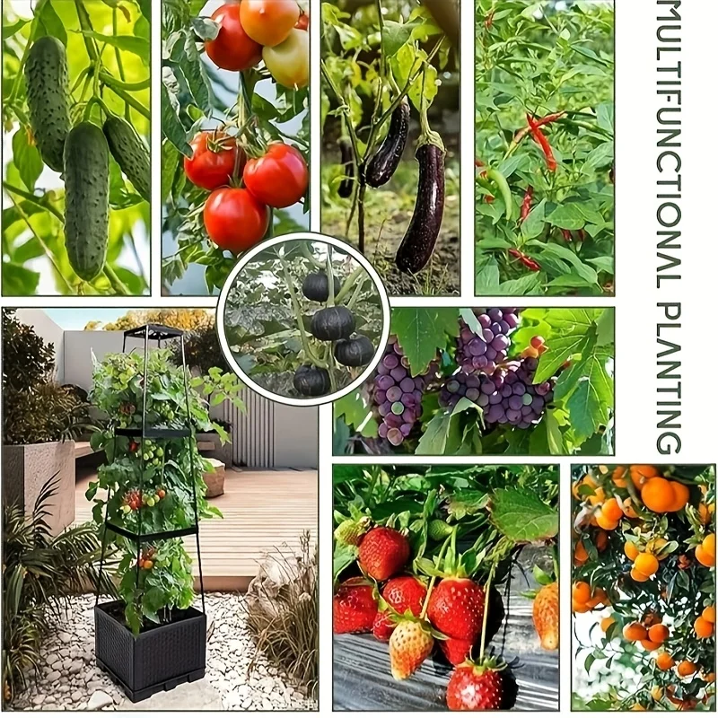 Torre de Tomate com Caixa de P - Indoor Herb Garden avaliação e preço