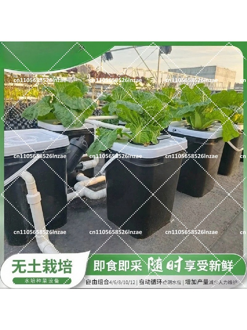 Sistema Hidropônico RDWC 4+1 8 - Hydroponic Kit avaliação e preço