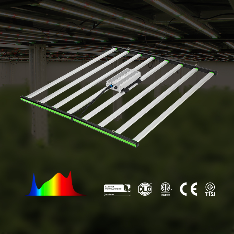 Lm301h Evo 281b Luzes LED de E - Grow Light Led avaliação e preço