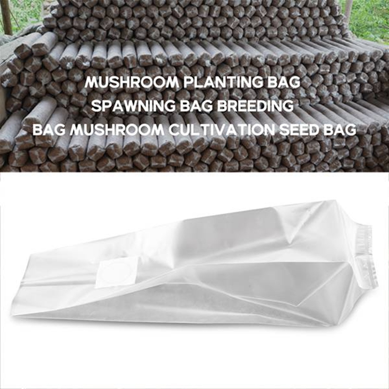 50 sacos de cogumelo de contag - Grow Bag avaliação e preço