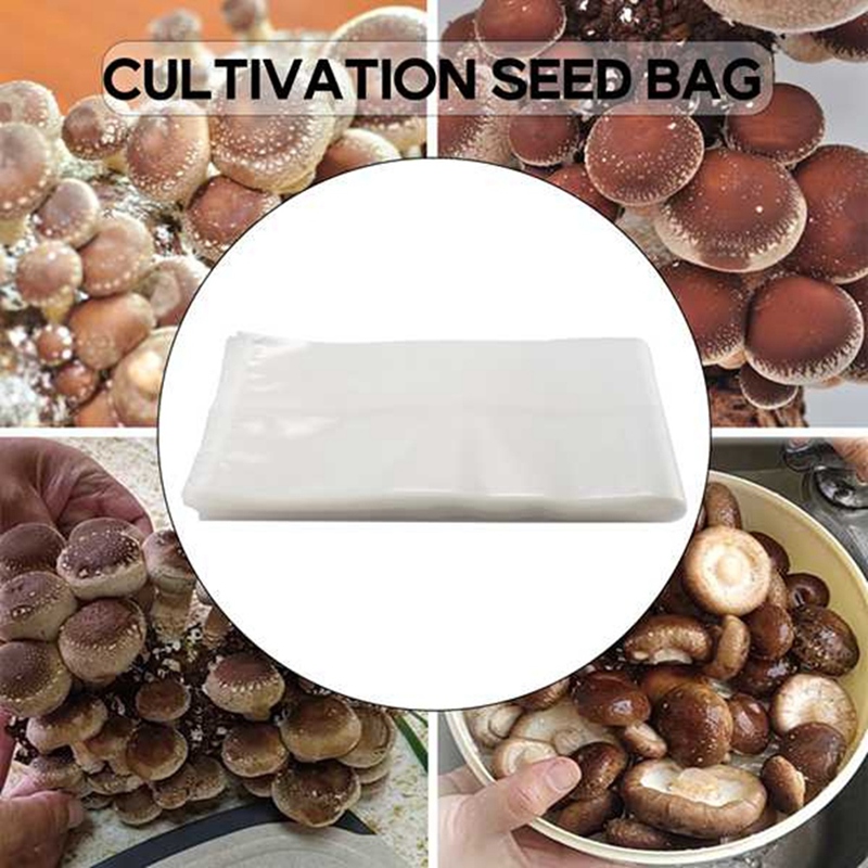 50 sacos de cogumelo de contag - Grow Bag avaliação e preço