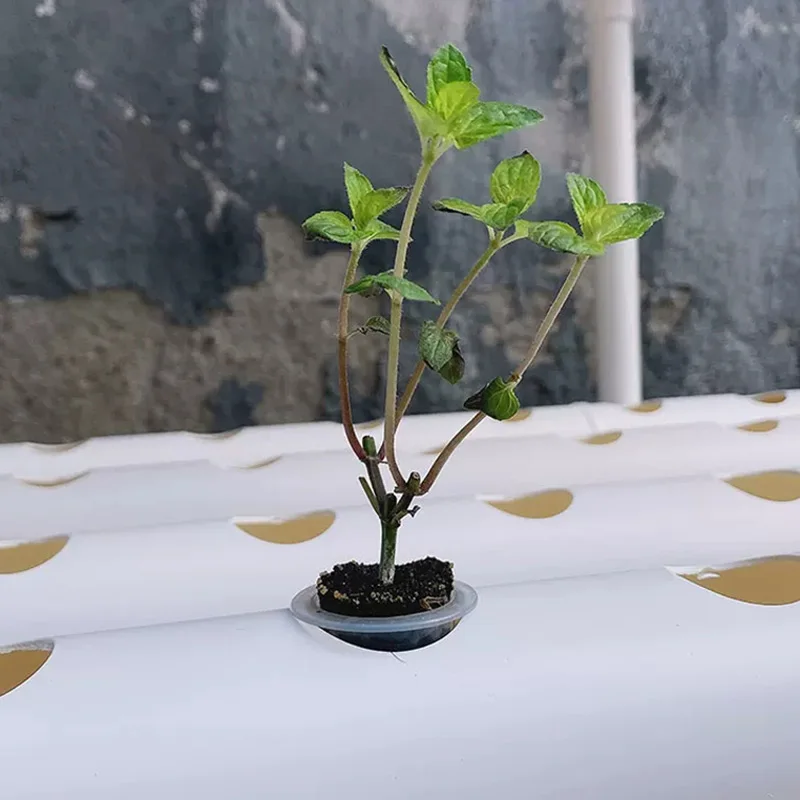 Kit de sistema de cultivo sem  - Hydroponic Kit avaliação e preço