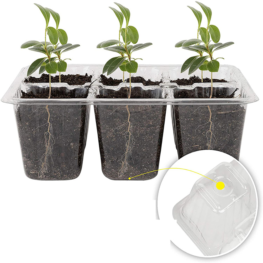 Seed Starter Bandejas Com Cres - Seed Starter Tray avaliação e preço
