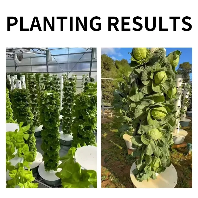 Sistema de Kit de Cultivo Hidr - Hydroponic Kit avaliação e preço
