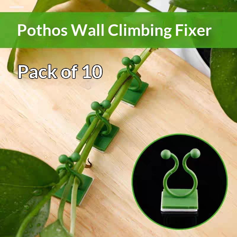 Clipes Autoadesivos para Fixaç - Indoor Herb Garden avaliação e preço