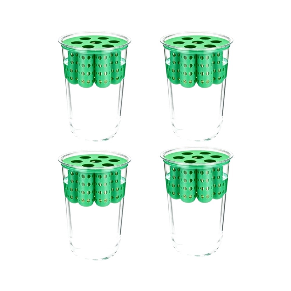 Kit de Germinação de Cebolinha - Hydroponic Kit avaliação e preço