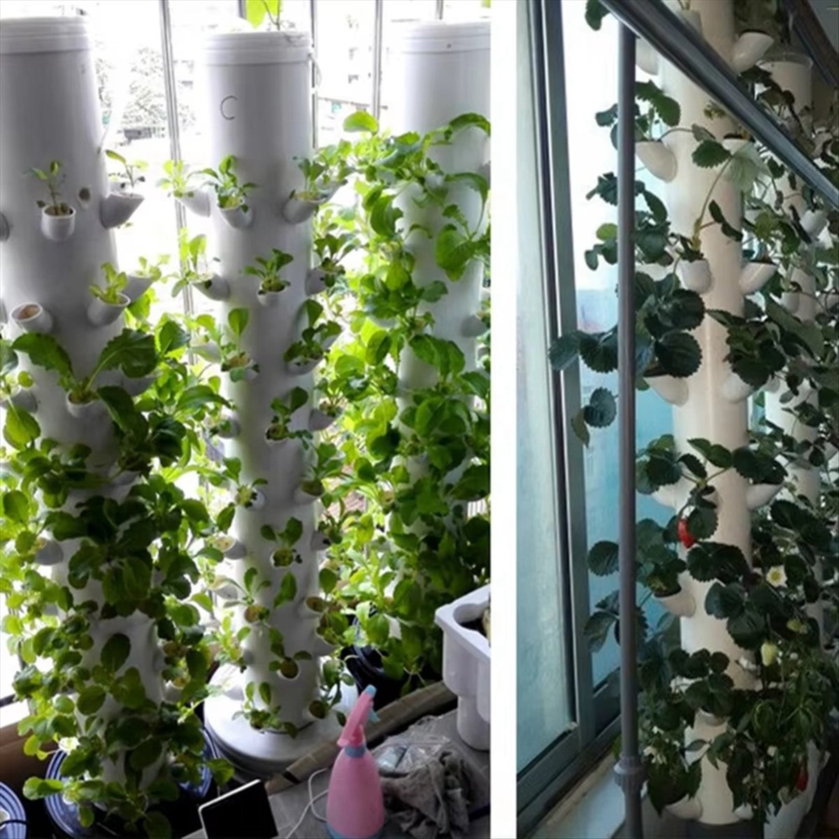Copo de Plantio Hidropônico Ve - Vertical Planter avaliação e preço