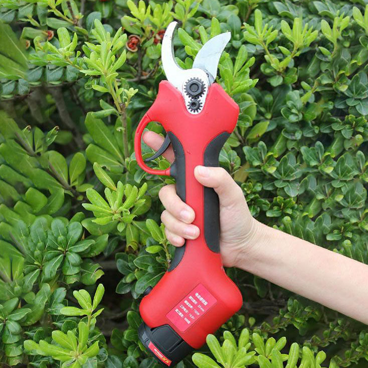 Tesoura de Poda Elétrica Sem F - Pruning Shears avaliação e preço