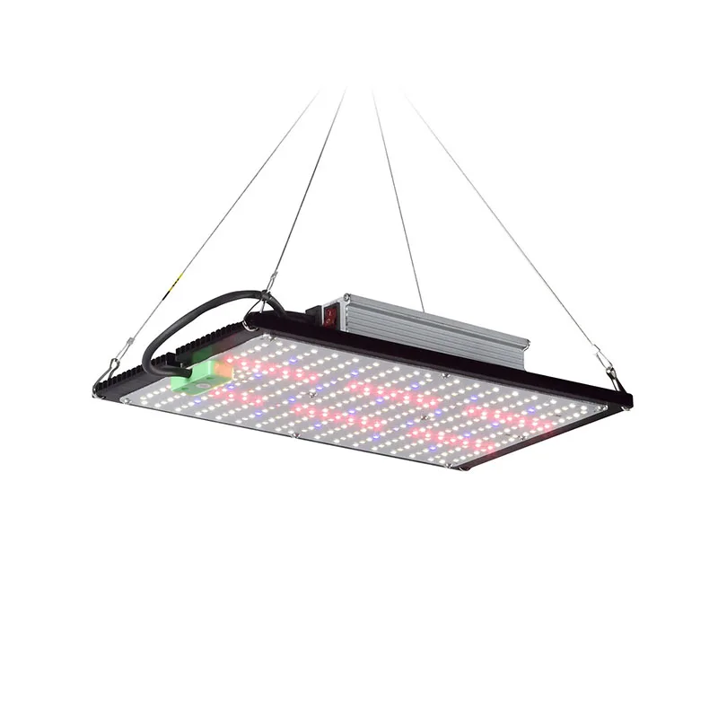 Luz de Cultivo LED Quantum-Boa - Grow Light Led avaliação e preço