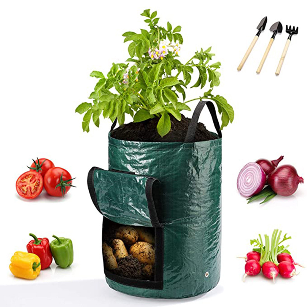 1 unidade de sacos de cultivo  - Grow Bag avaliação e preço