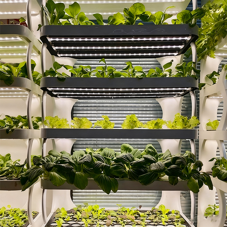 Jardineira inteligente para us - Grow Light Led avaliação e preço